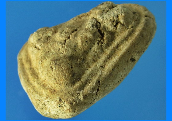 พระปิดตาเม็ดบัว เจ้าคุณนรฯ วัดเทพศิรินทราวาส พ.ศ.2513