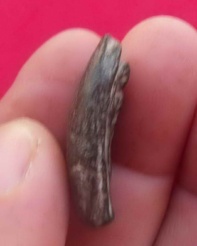 พระสิวลีเนื้อดำมีย่าม หลวงพ่อกวย วัดโฆสิตารามองค์ที่ 1