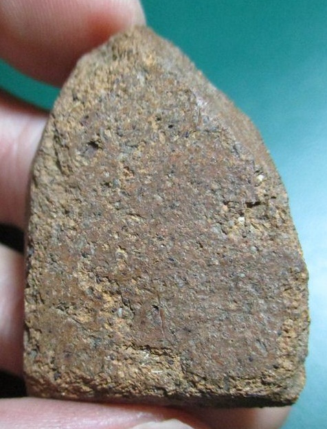 พรายคู่ตัดเดี่ยวพิมพ์หน้ายักษ์