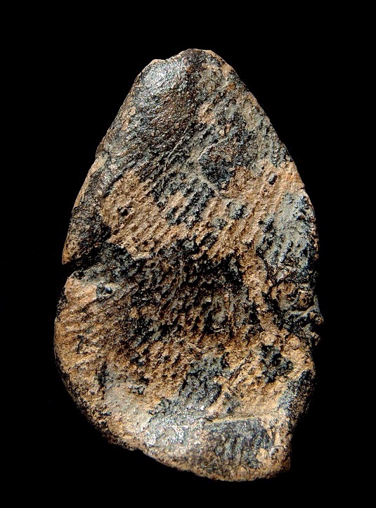 พระกำแพงเปิดโลกยืนตอ สุดยอดพระพิมพ์นิยมของเมืองกำแพงเพชร