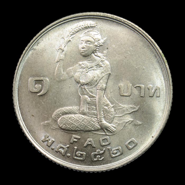 เหรียญกษาปณ์นิกเกิล 1 บาท ในหลวงโปรยข้าว