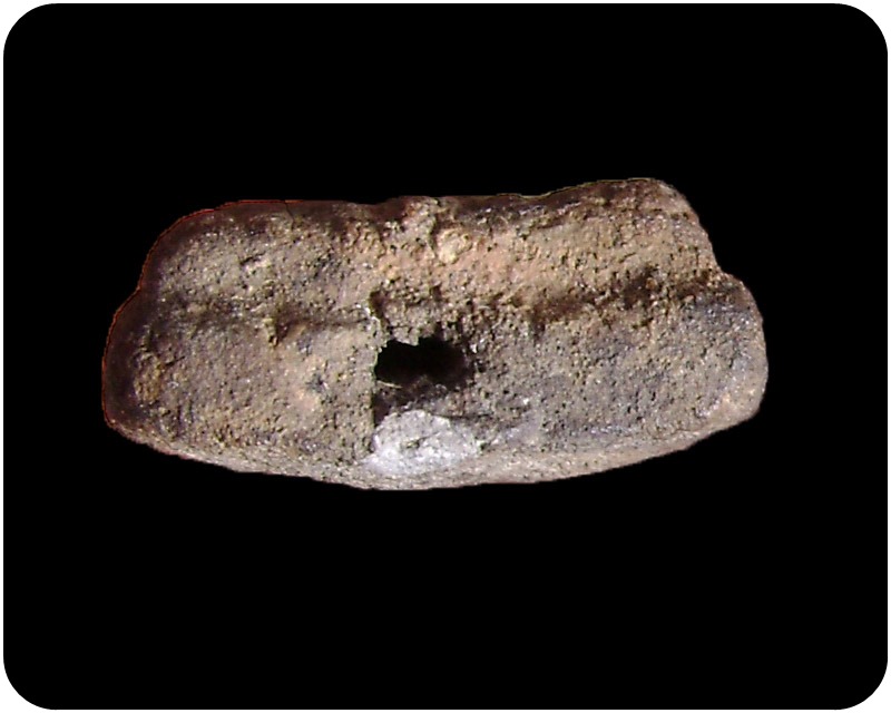 หลวงปู่ทวด เนื้อว่าน ปี 2497