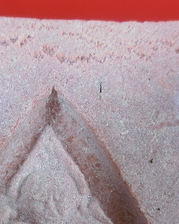 "มีเกสา"พระหางหมาก (พระมหาลาภ) หลวงพ่อฤาษีลิงดำ วัดท่าซุง