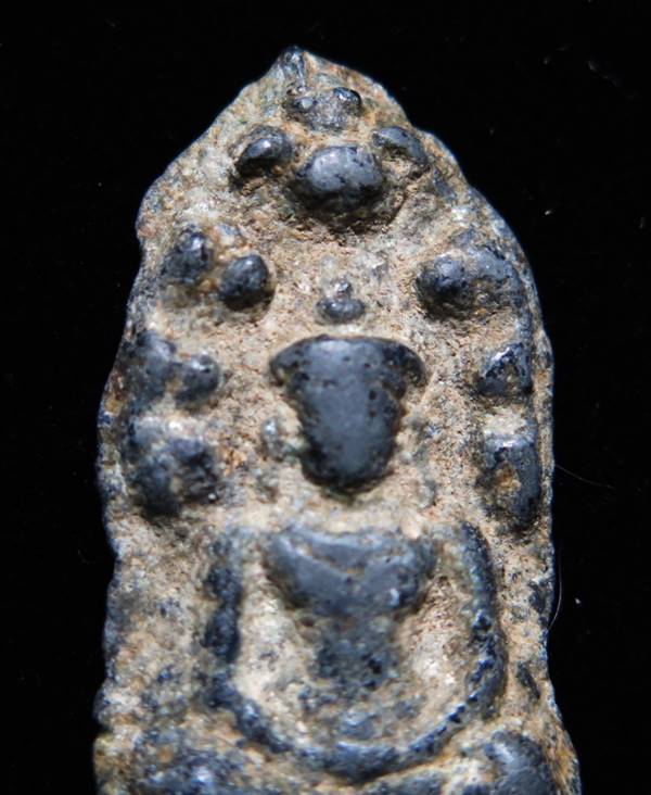 พระนาคปรก พิจิตร เนื้อชินอุทุมพร