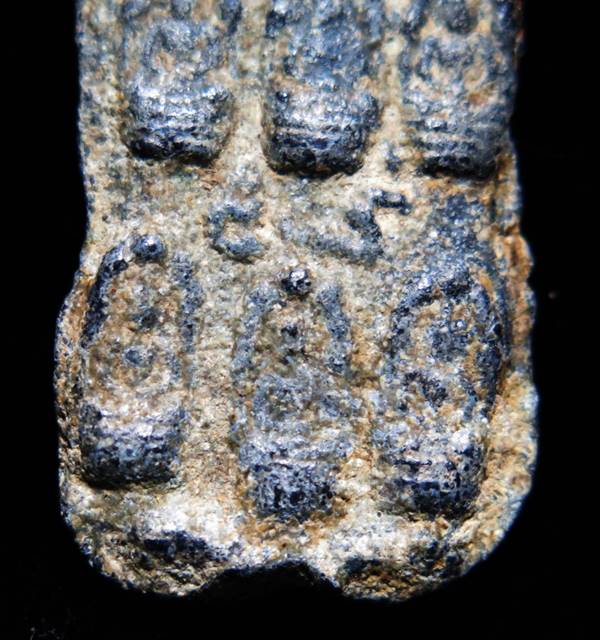 พระนาคปรก พิจิตร เนื้อชินอุทุมพร