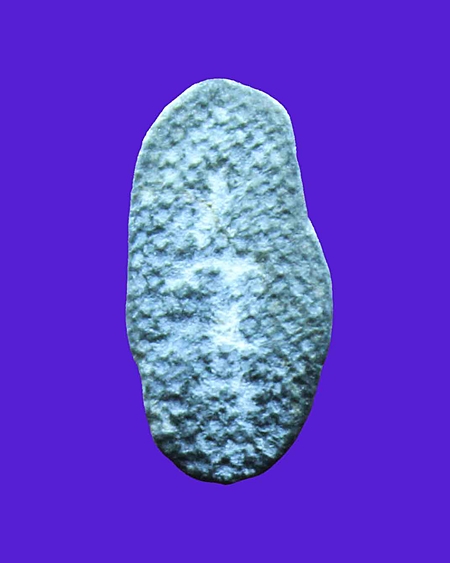 พระพิจิตร เม็ตข้าวเม่า งานประกวดพระ จ.ลำปาง