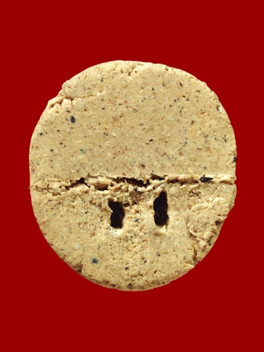 หนุมาน หลวงปู่หมุน วัดซับลำใย