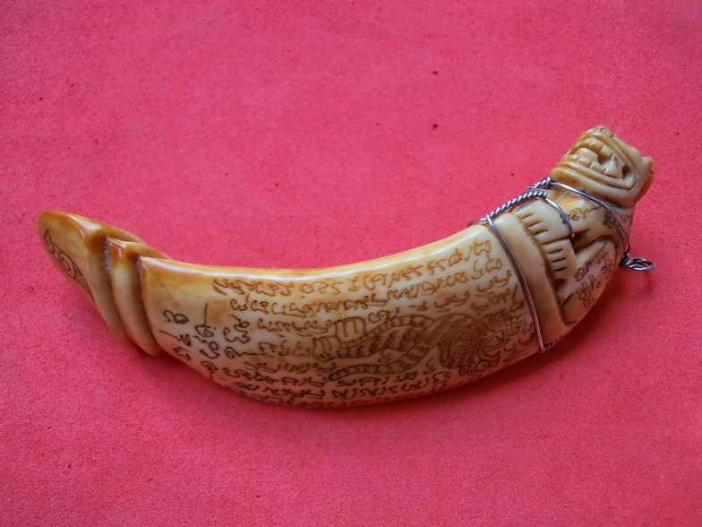 เขี้ยวหมูตันปลัดขิกเสือแกะ หลวงพ่อไสว วัดปรีดาราม