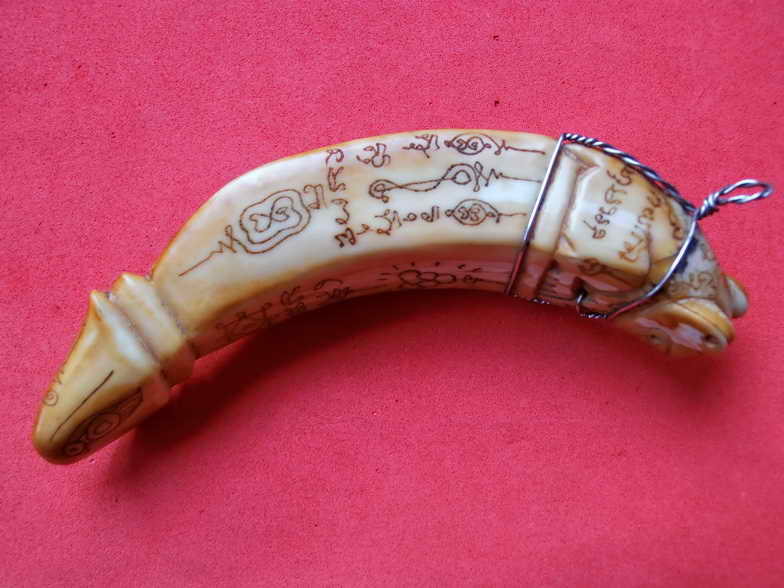 เขี้ยวหมูตันปลัดขิกเสือแกะ หลวงพ่อไสว วัดปรีดาราม