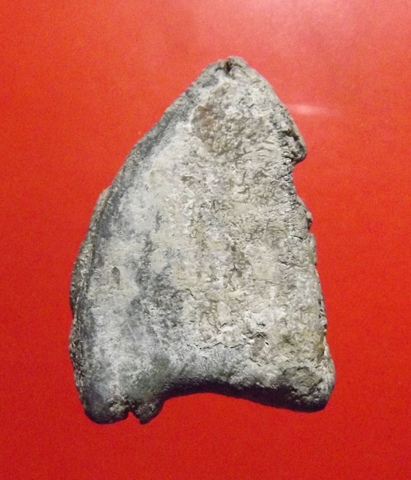 พระร่วงกรุ อ.พนัสนิคม เขตวัดหน้าพระธาตุ จ.ชลบุรี