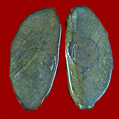 4 องค์ รูปหล่อ สังกัจจายน์ วัดกัลยาฯ กรุงเทพฯ 