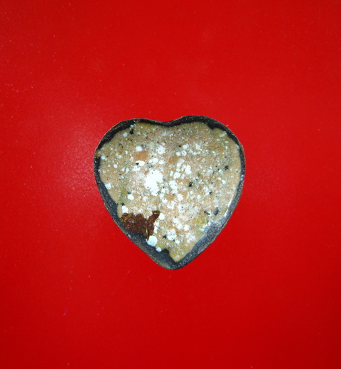 ล็อกเก็ตหลวงพ่อฤาษีลิงดำ วัดท่าซุง 2