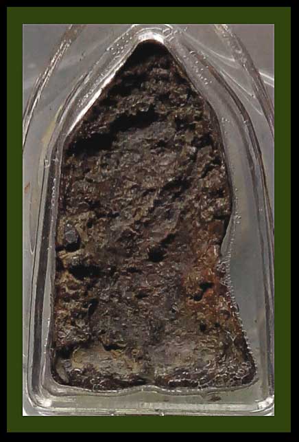 โคนสมอสนิมแดง กรุ ว.ค้างคาว 