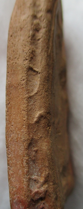 พระสีวลี ไม่มีย่าม หลวงพ่อกวย วัดโฆสิตาราม เนื้อดิน (เคาะเดียว)