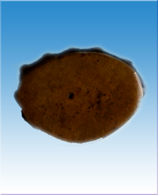 พระกริ่งมหาสิทธิโชค วัดประสาทบุญญาวาส 2506