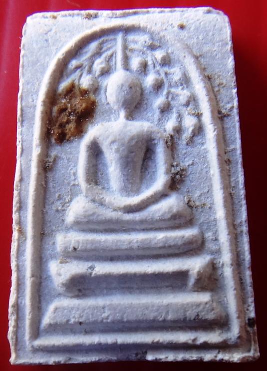 สมเด็จ คะแนนปรกโพธิ์ หลวงพ่อแพ วัดพิกุลทอง