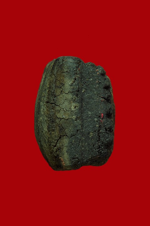 หลวงพ่อทวดวัดช้างไห้ ปี พ.ศ. 2524 เนื้อว่าน พิมพ์กลาง