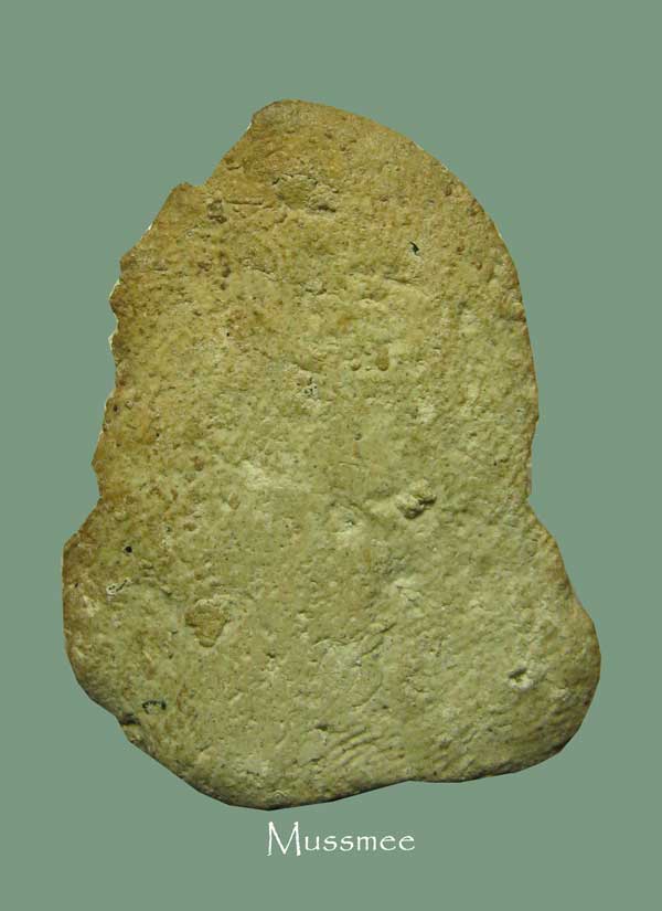 พระกรุวัดมอญ อ่างทอง (อีก 1 พิมพ์ที่หายากครับ) พระสวยยยยยยยยยยยยยย