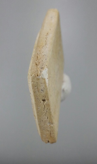 สมเด็จวัดระฆัง 108 ปี นิยม อกล่ำ