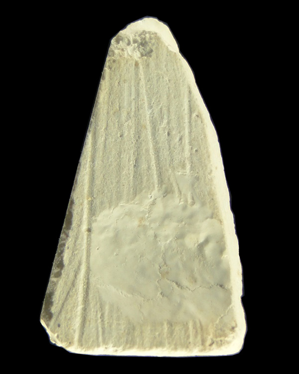 พิมพ์พระชัยวัฒน์ เนื้อผงพุทธคุณ ปี๒๕๑๙ หลวงปู่ดู่ วัดสะแก อยุธยา