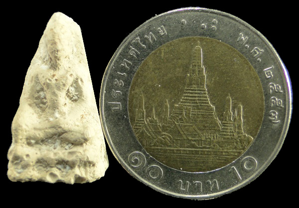 พิมพ์พระชัยวัฒน์ เนื้อผงพุทธคุณ ปี๒๕๑๙ หลวงปู่ดู่ วัดสะแก อยุธยา