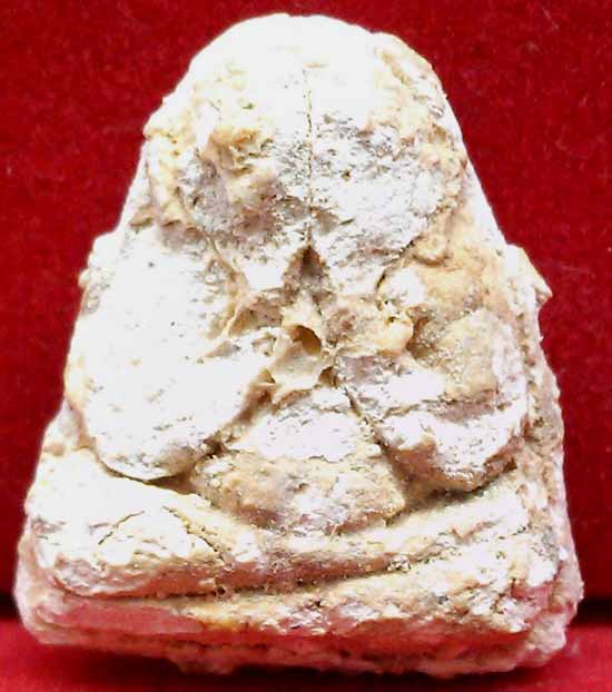 *ปิดตาผงเมตตา..ลพ.แช่ม วัดดอนยายหอม..ลงกรุวัดตะแบกโพรง ประจวบฯ(2)*