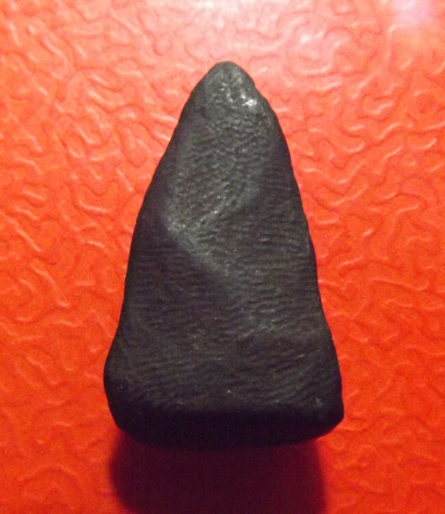 พระผงครูบาศรีวิชัย หลังย่น ปี2489-91 ผสมผงอัฐิอังคารธาตุ ครูบเจ้าศรีวิชัย