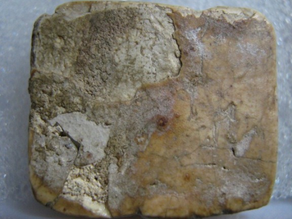 พระพิมพ์ทรงครุฑใหญ่ กรุวัดคู้สลอด จ.อยุธยา ครึ่งองค์ล่าง อาศัยพุทธคุณได้