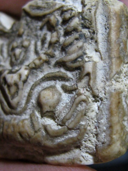 พระพิมพ์ทรงครุฑใหญ่ กรุวัดคู้สลอด จ.อยุธยา ครึ่งองค์ล่าง อาศัยพุทธคุณได้