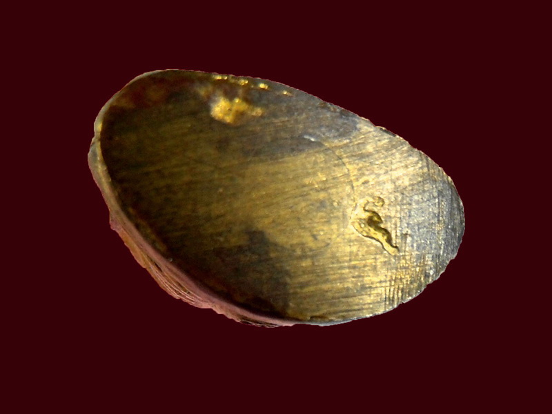 หลวงพ่อเงิน (เคาะแรก)