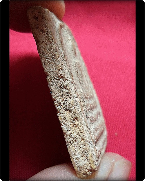 สมเด็จบางขุนพรหม 