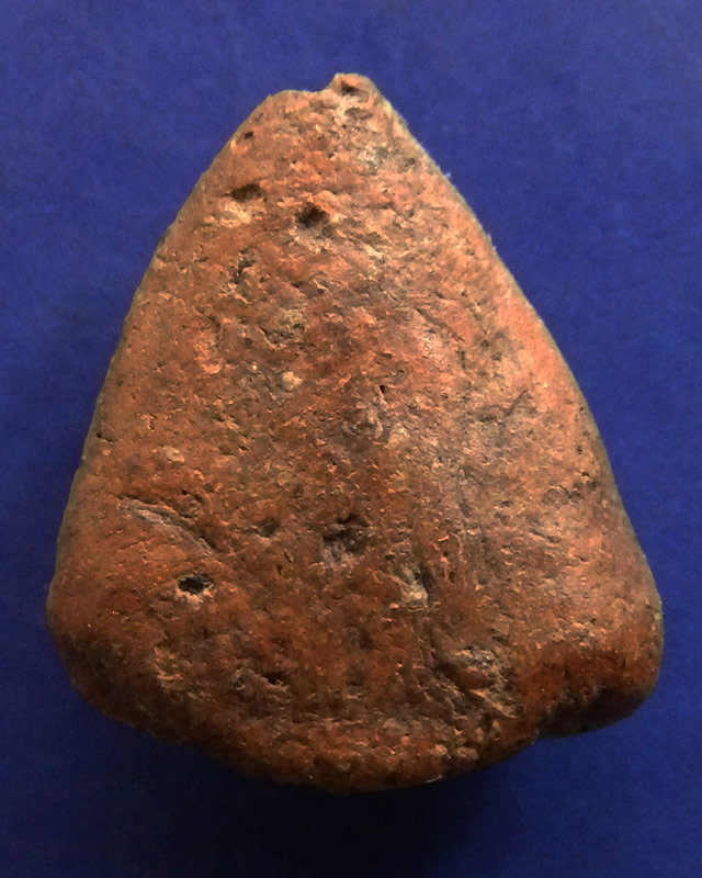 นางพญาเนื้อดิน สูง 1.8 ซ.ม.