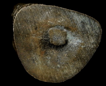 รูปหล่อสมเด็จพระพุฒาจารย์โต พรหมรังสี 