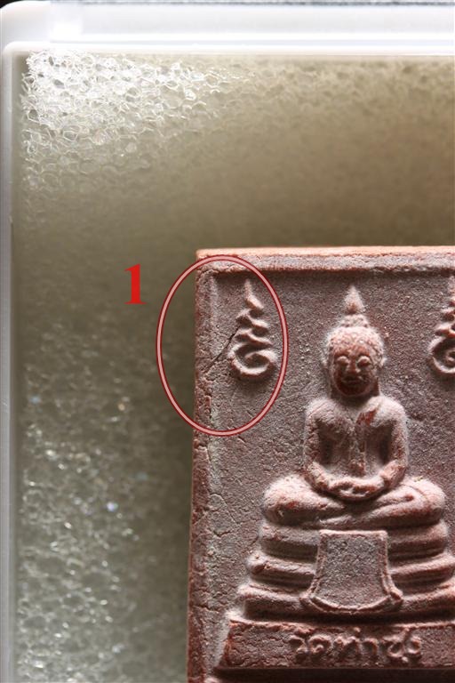 พระหางหมาก เกศา 5 เส้น หลวงพ่อฤษษีลิงดำ วัดท่าซุง จว.อุทัยธานี (1)