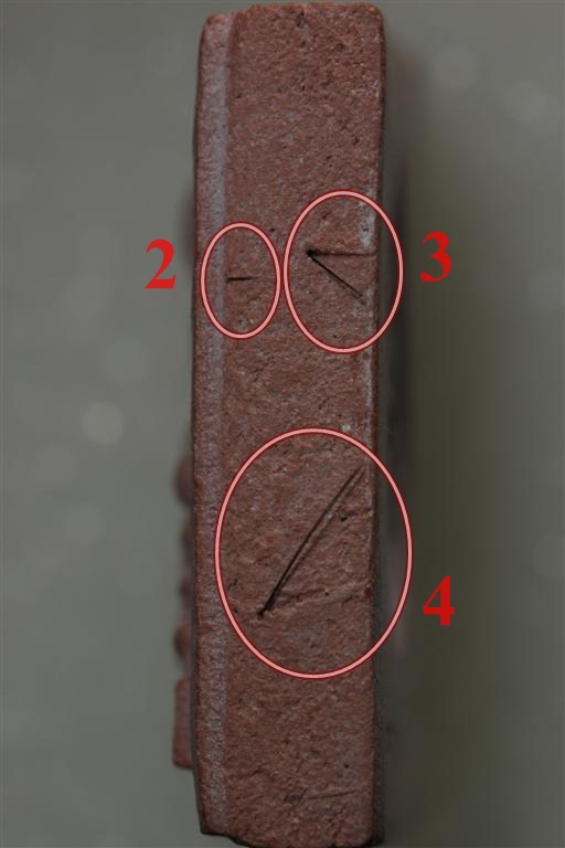 พระหางหมาก เกศา 5 เส้น หลวงพ่อฤษษีลิงดำ วัดท่าซุง จว.อุทัยธานี (1)