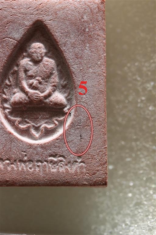 พระหางหมาก เกศา 5 เส้น หลวงพ่อฤษษีลิงดำ วัดท่าซุง จว.อุทัยธานี (1)