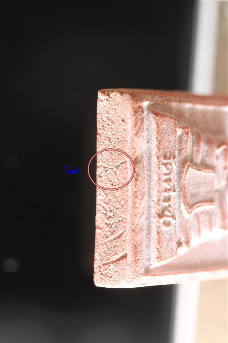 พระหางหมาก เกศา 4 เส้น หลวงพ่อฤาษีลิงดำ วัดท่าซุง จว.อุทัยธานี (3)