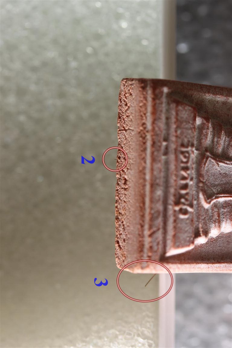 พระหางหมาก เกศา 4 เส้น หลวงพ่อฤาษีลิงดำ วัดท่าซุง จว.อุทัยธานี (5)