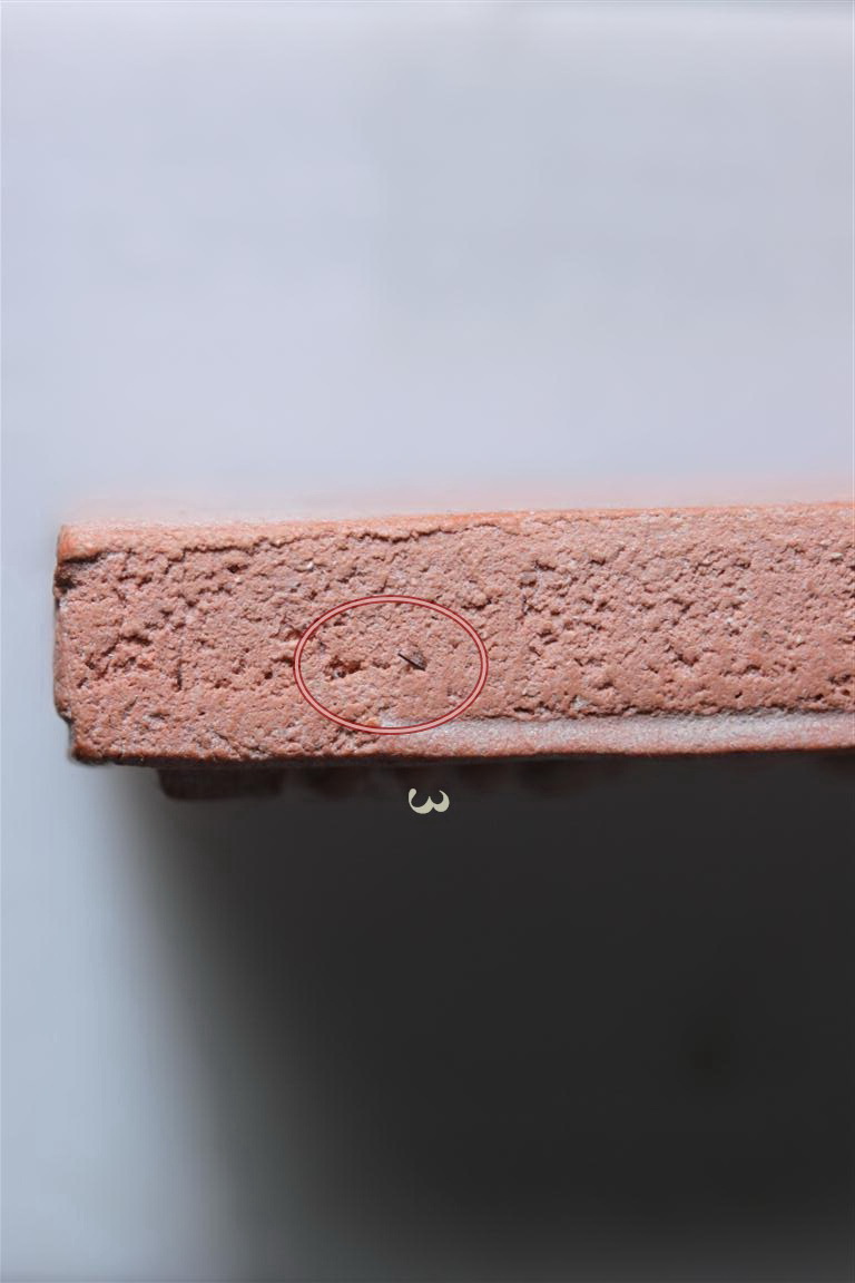 พระหางหมาก เกศา3 เส้น หลวงพ่อฤาษีลิงดำ วัดท่าซุง จว.อุทัยธานี (6)