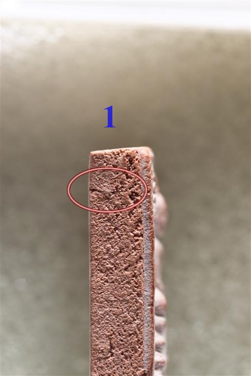 พระหางหมาก เกศา 2 เส้น หลวงพ่อฤาษีลิงดำ วัดท่าซุง จว.อุทัยธานี (8)