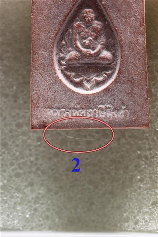 พระหางหมาก เกศา 2 เส้น หลวงพ่อฤาษีลิงดำ วัดท่าซุง จว.อุทัยธานี (8)