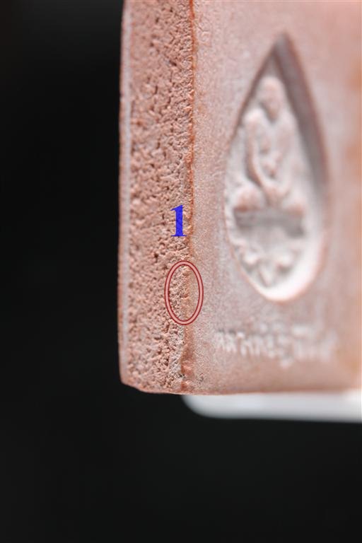 พระหางหมาก เกศา 2 เส้น หลวงพ่อฤาษีลิงดำ วัดท่าซุง จว.อุทัยธานี (10)