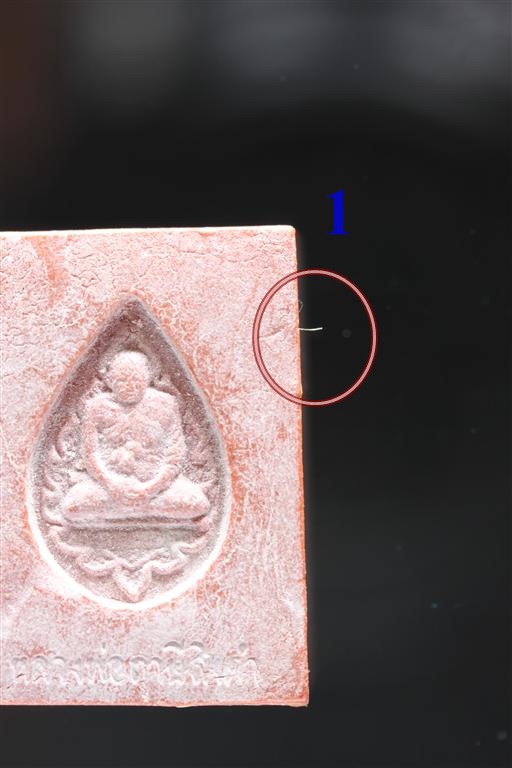 พระหางหมาก เกศา 1เส้น หลวงพ่อฤาษีลิงดำ วัดท่าซุง จว.อุทัยธานี (11)