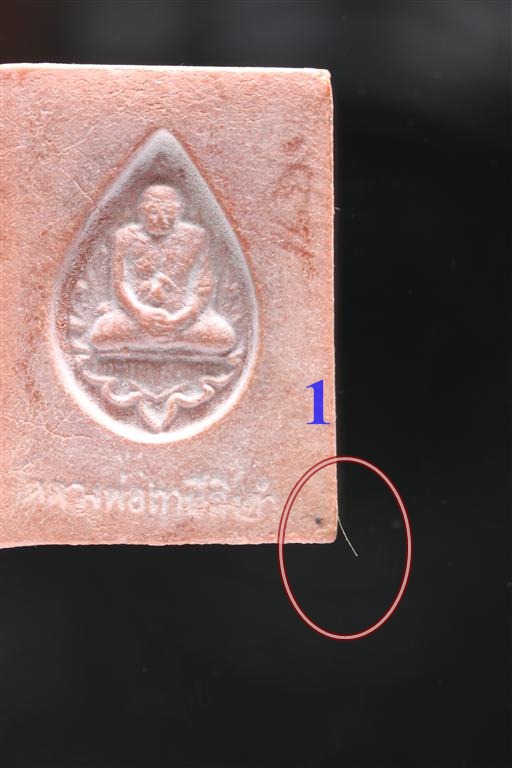 พระหางหมาก เกศา 1 เส้น หลวงพ่อฤาษีลิงดำ วัดท่าซุง จว.อุทัยธานี (12)