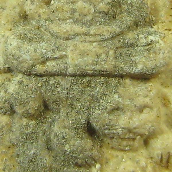 พระผง รุ่นสร้างหอสวดมนต์ หลวงพ่อเปิ่น พิมพ์นิยม