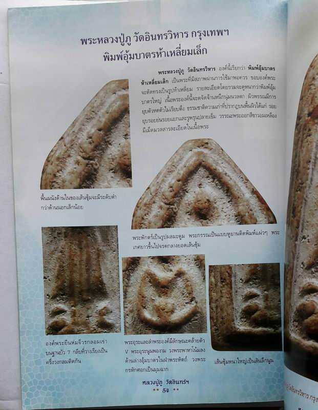 หนังสือการศึกษาพระเครื่อง ลป.ภู เคาะเดียวแดง