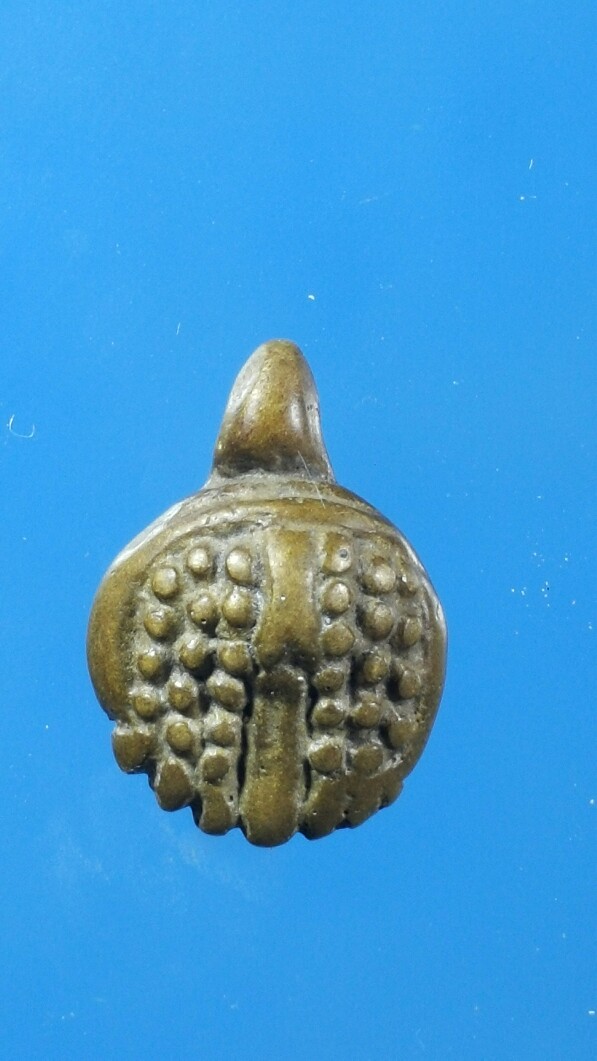 เต่าหลวงพ่อเงิน