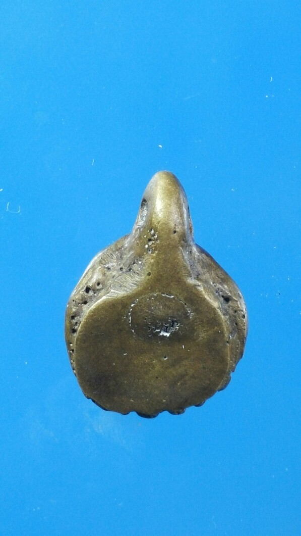 เต่าหลวงพ่อเงิน