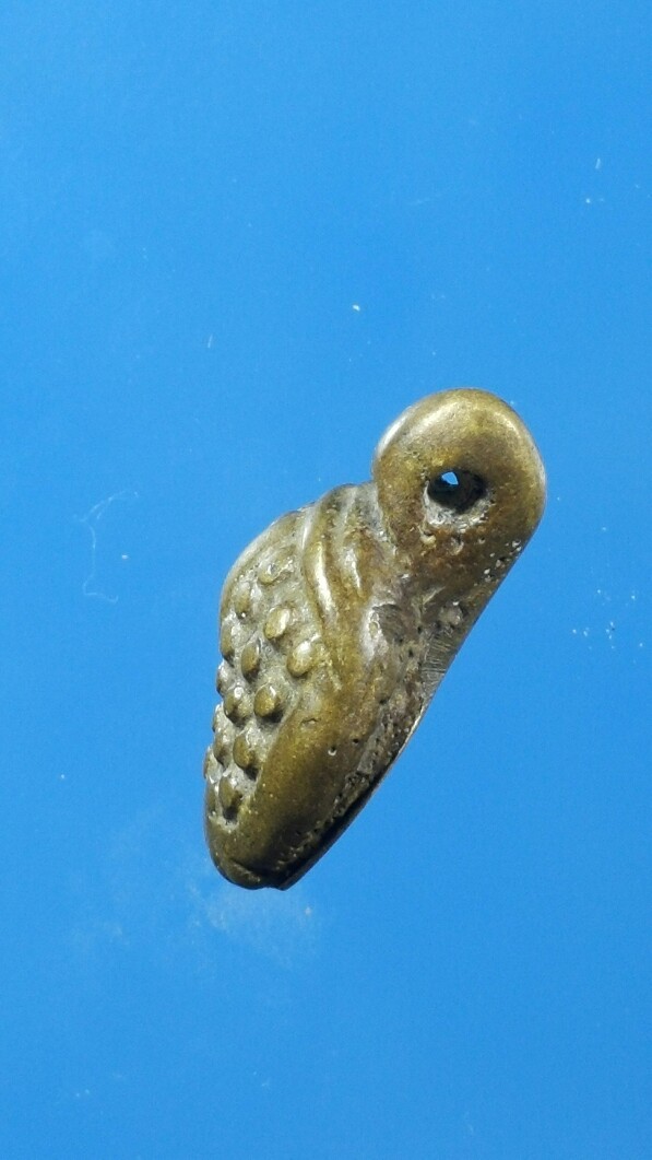 เต่าหลวงพ่อเงิน