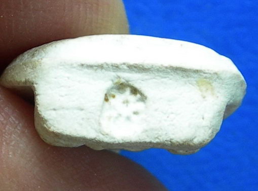 พระรูปเหมือนใบโพธิ์ เจ้าคุณนรฯ....